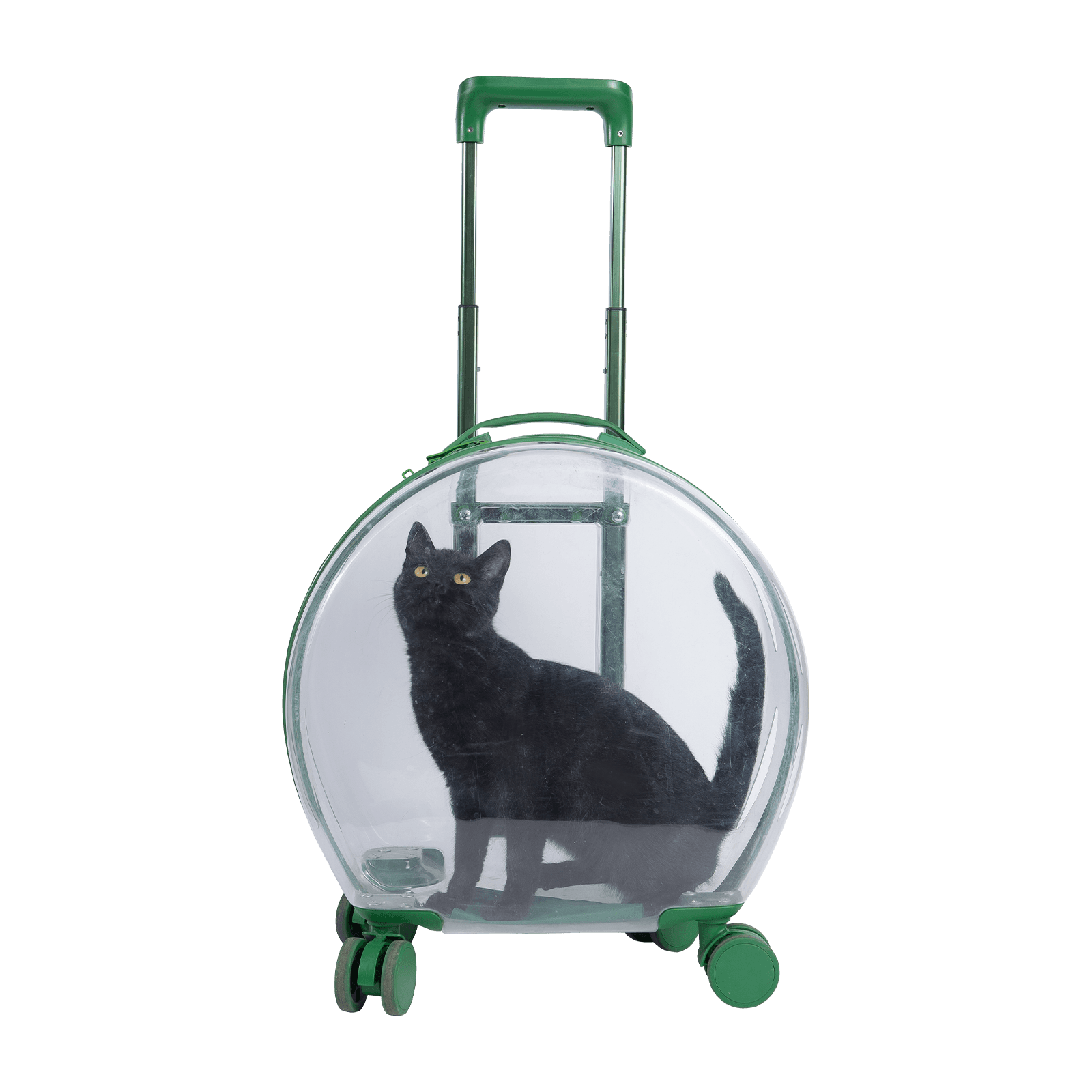 Chariot PC pour animaux de compagnie, bagage Transparent, sac d'extérieur de haute qualité