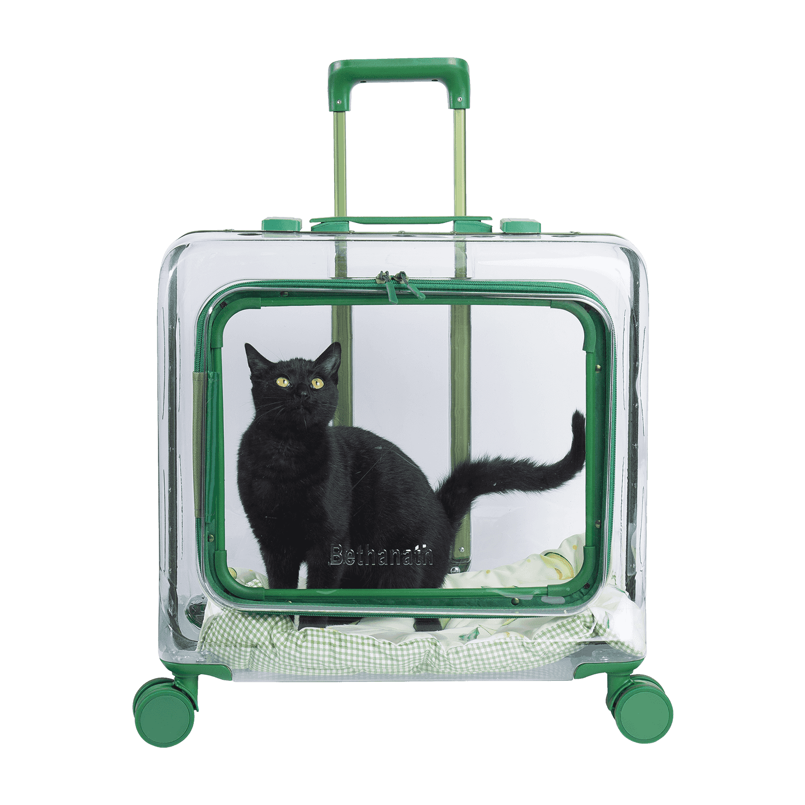 Sac de transport pour animaux de compagnie : un assistant de voyage portable pour animaux de compagnie