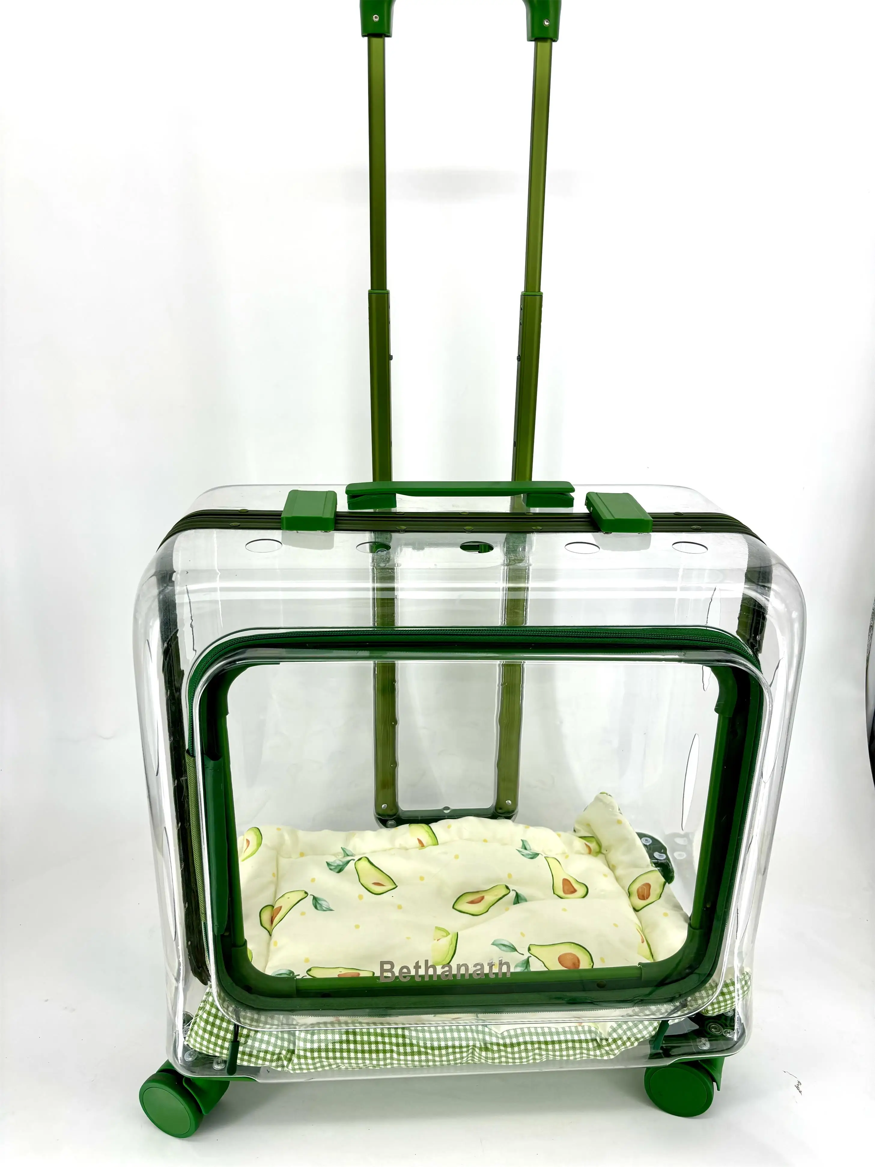 Chariot de transport pour animaux de compagnie, PC transparent haut de gamme, forme carrée, étui de voyage extérieur