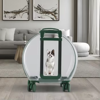 Chariot PC pour animaux de compagnie, bagage Transparent, sac d'extérieur de haute qualité